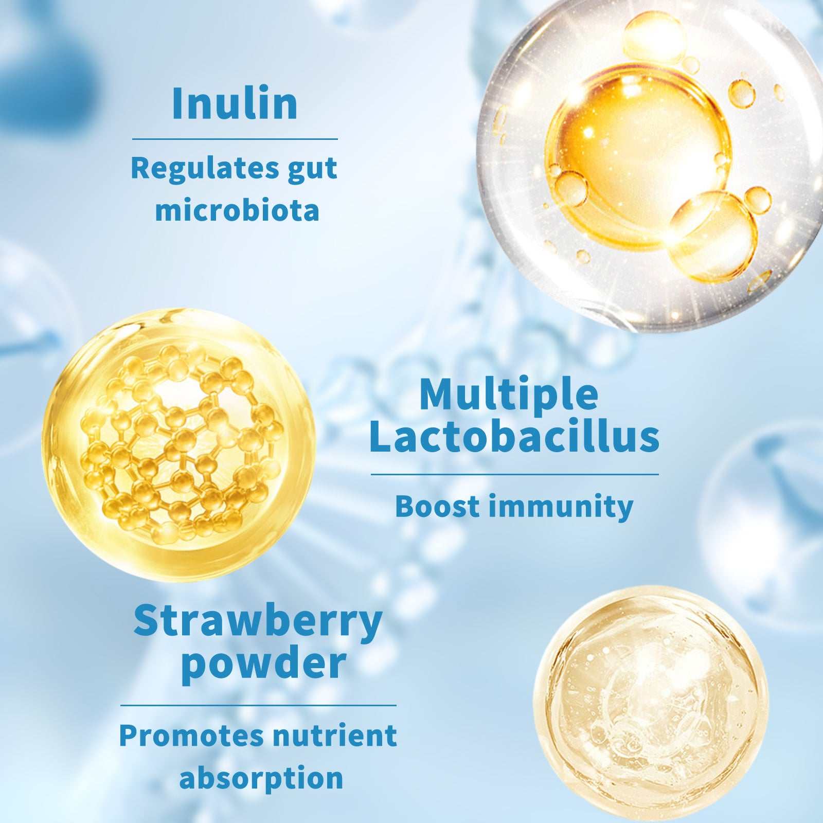 Probiotics for Both Men and Women